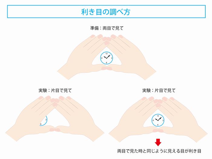 【利き目の調べ方】 手や足のように目にも「利き目」があることご存知ですか? | 遠近両用メガネ・老眼情報サイト|えんきんドットコム