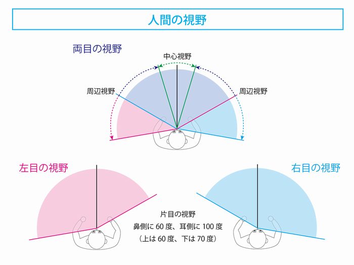 【利き目の調べ方】 手や足のように目にも「利き目」があることご存知ですか? | 遠近両用メガネ・老眼情報サイト|えんきんドットコム