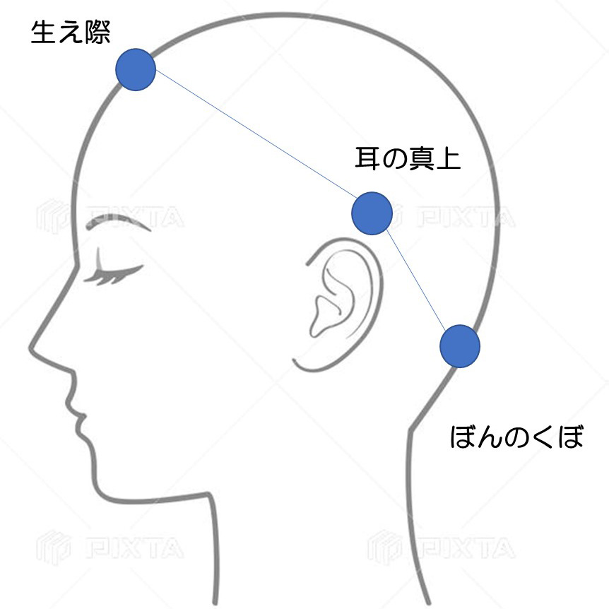 ウイッグの内側の位置
